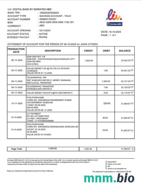 UAE Liv. cyfrowy wyciąg bankowy z konta Word i szablon PDF, 2 strony